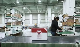 種下梧桐引金鳳 打造發(fā)展新引擎 青白江區(qū)2017年投資促進工作成效顯著